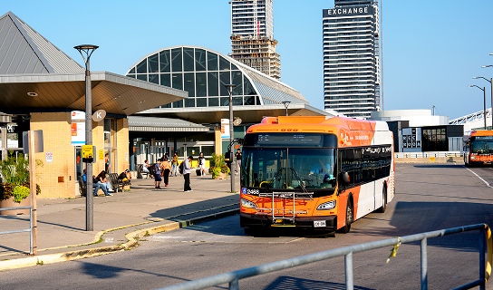 City transit hub with buses connecting the district to public transport routes and nearby areas