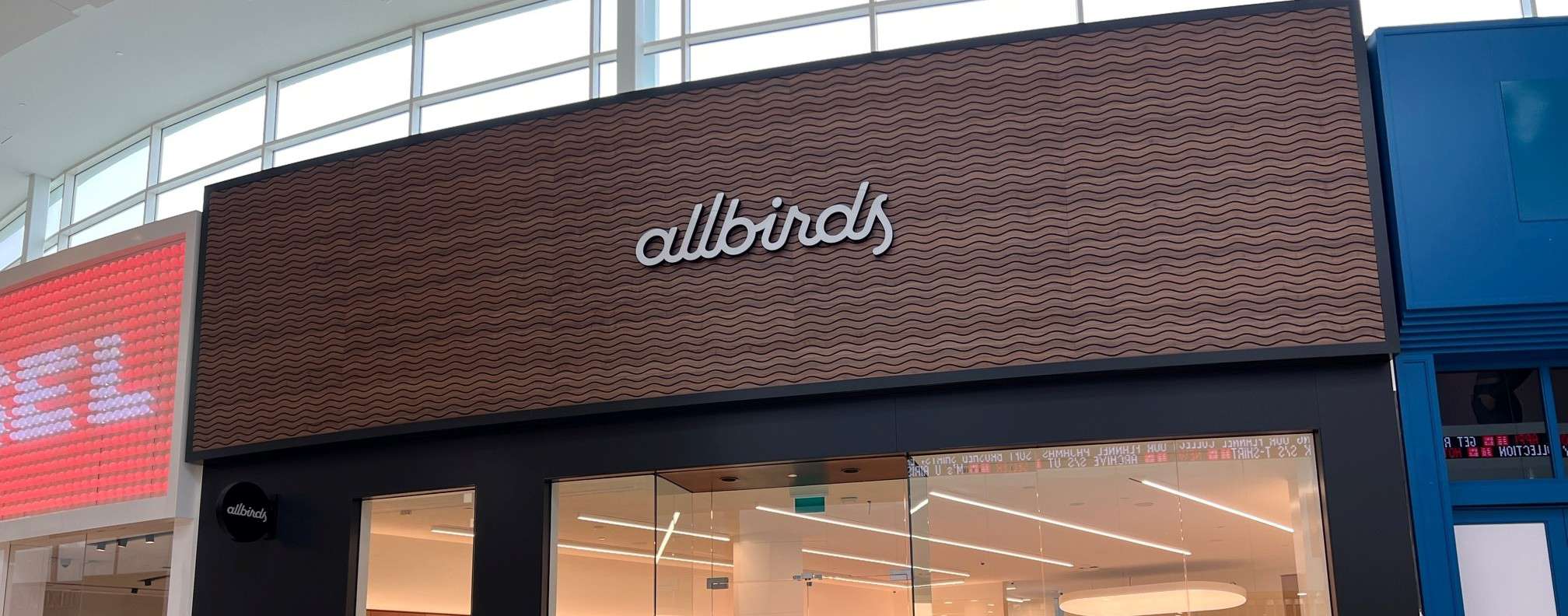 All birds