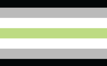 Agender pride flag
