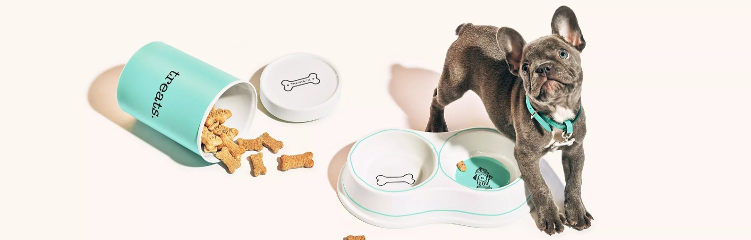 The Best Luxury Pet Gifts to Buy Now