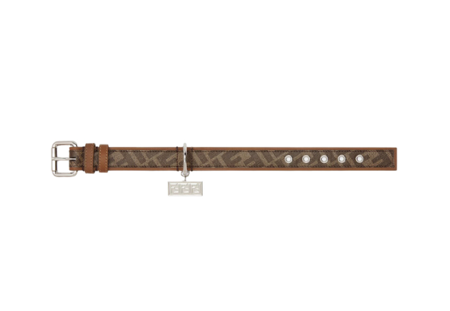 Brown Fabric Dog Collar at Fendi