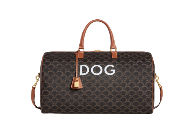 Travel 50 in Triomphe Canvas with Dog Print at Celine