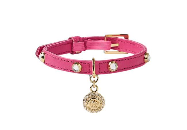 Crystal Icon Pet Collar at Versace