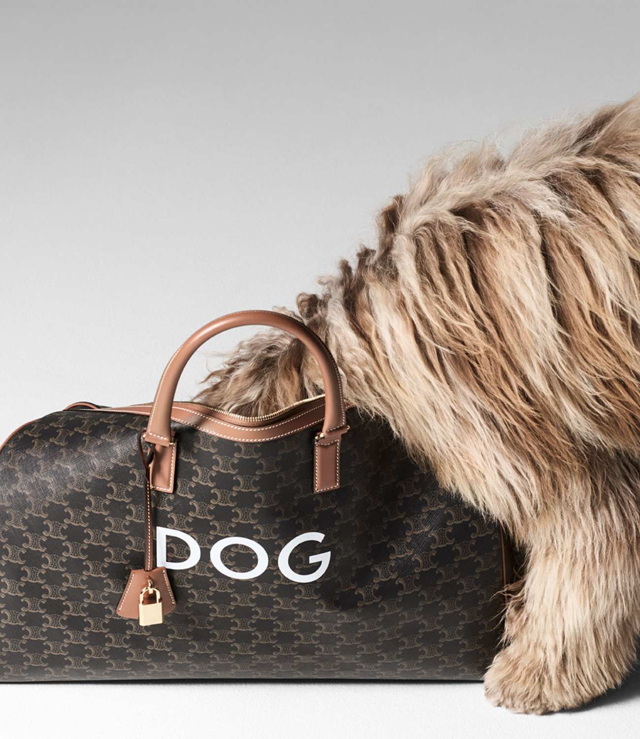 Designer bag