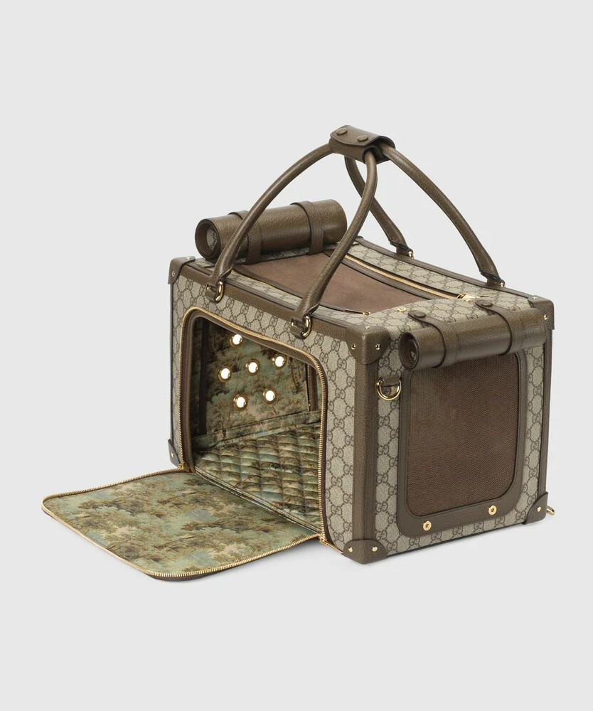 Gucci pet carrier