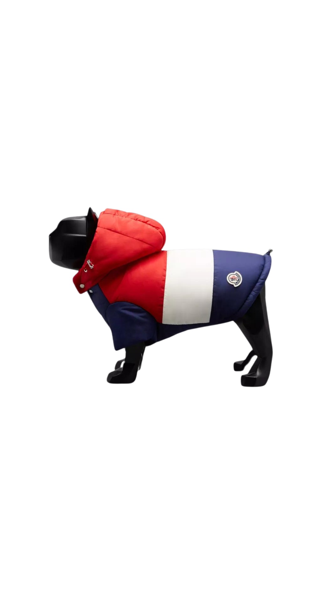 Moncler dog jacket
