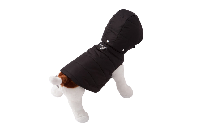 Re-Nylon Puffer Dog Coat with Hood at Prada