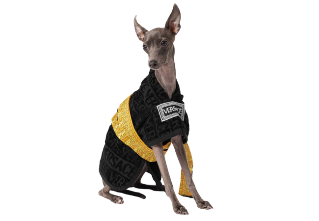 I ♡ Baroque Small Pet Bathrobe at Versace