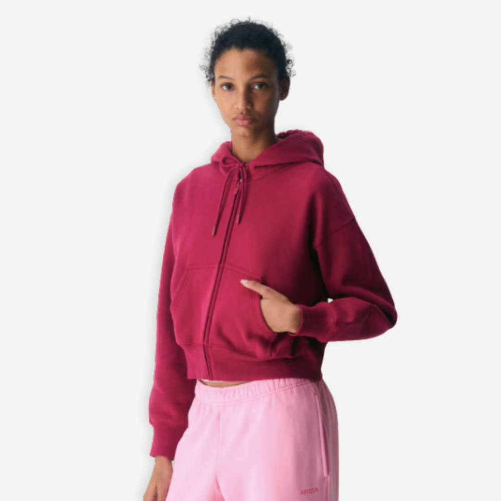 Aritzia | Hoodie
