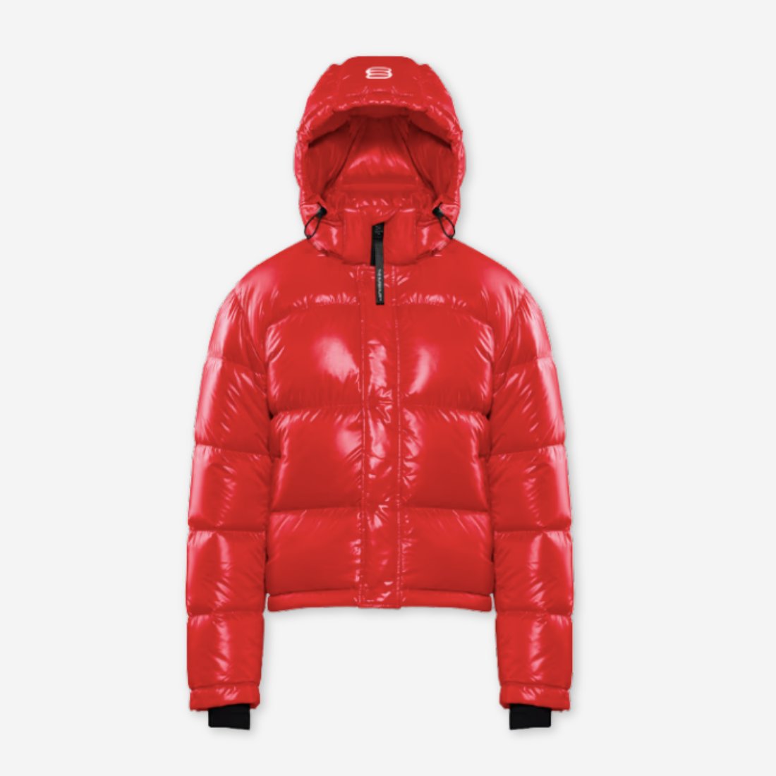 Aritzia | Puffer coat