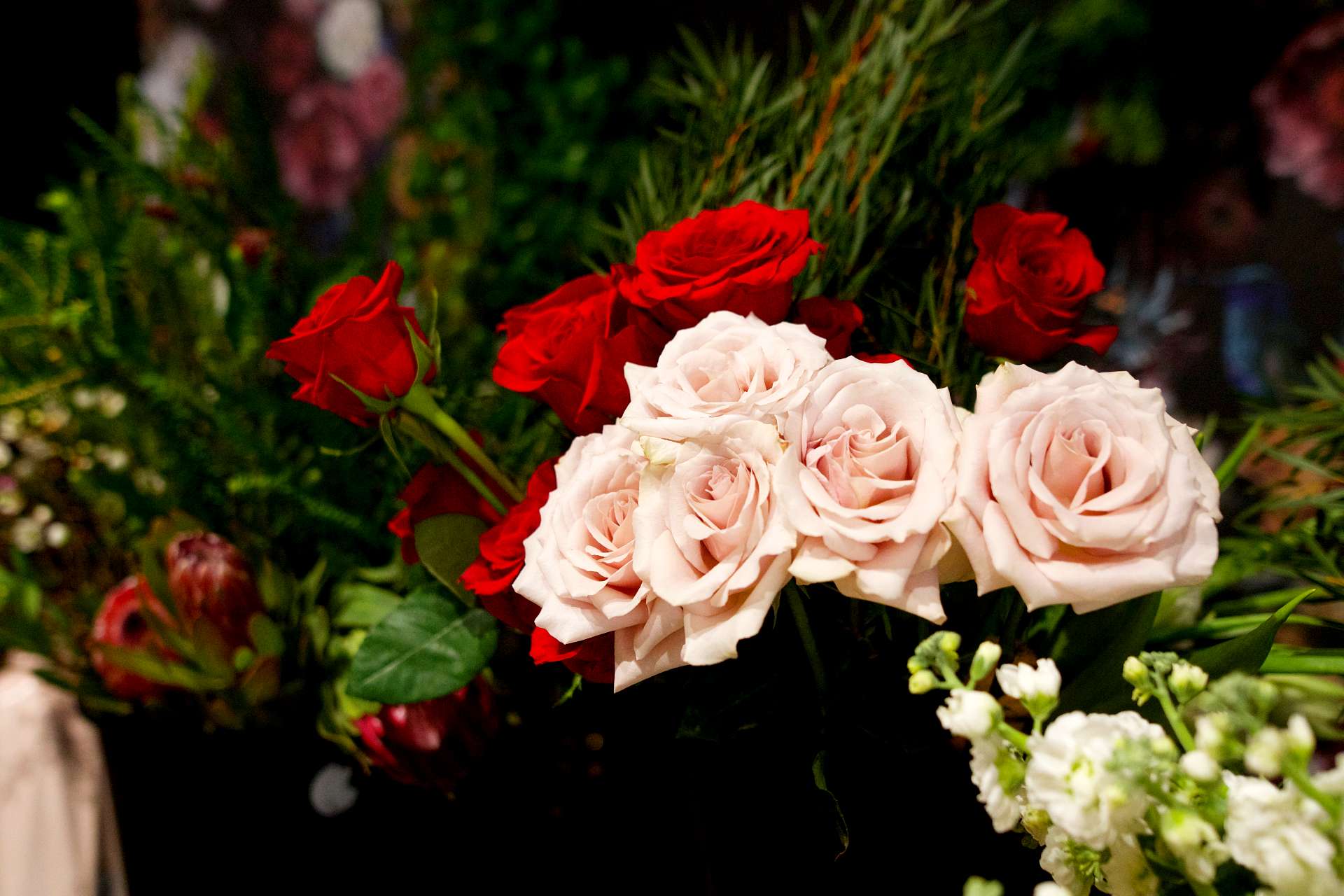 BUD + BLOOM
