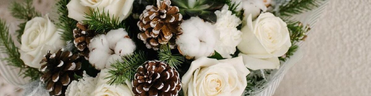 Holiday Gifts for Everyone on Your List