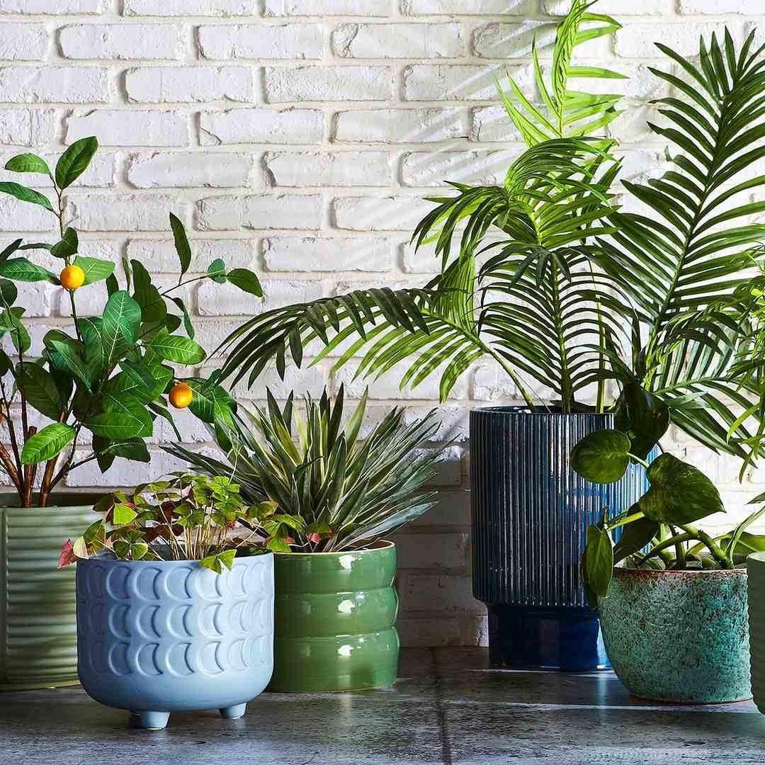 HomeSense