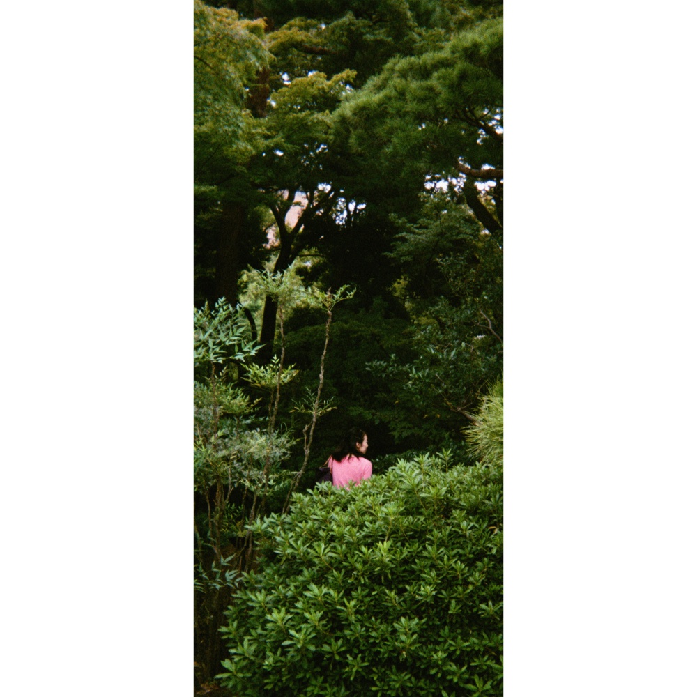 Overgrown