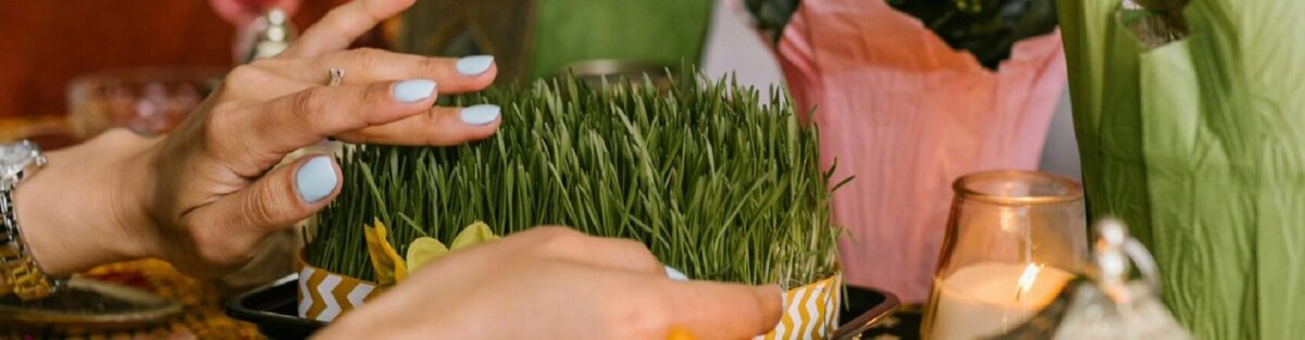Get Ready for Persian New Year