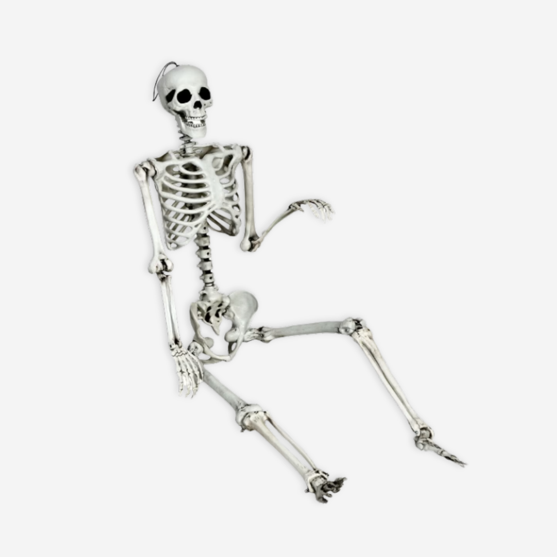 skeleton